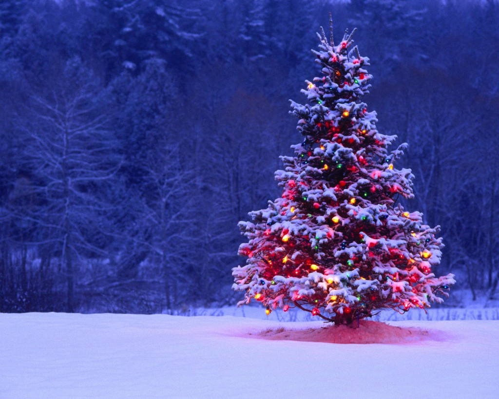 winter_season_snow_christmas_trees_tree_desktop_1280x1024_hd-wallpaper-844820