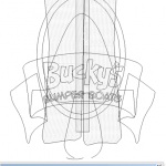 Building Bucky