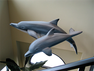 dolphins 1