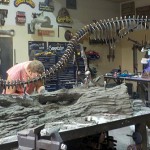 Anchoring the Dinosaur